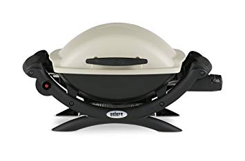 Weber Q 1000 Propane Gas Grill Titanium