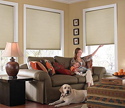 Windowsandgarden Custom Cordless Single Cell Shades, 48W x 48H, Ivory Beige, Any size from 21" to 72" wide and 24" to 72" high Available