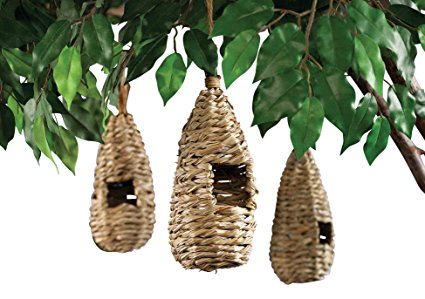 Miles Kimball Bird's Nests - Set Of 3