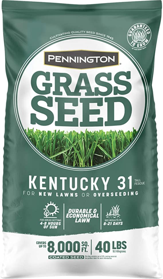 Pennington Seed Pennington Kentucky 31 Tall Fescue Medium Shade Grass Seed 40 lb. - Case of: 1;