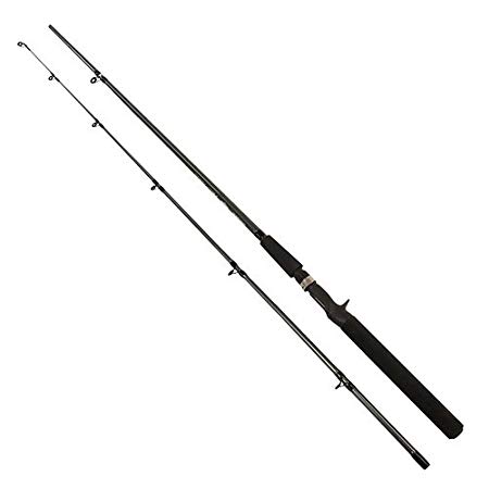 SHIMANO FXC 2 Piece Casting Rod