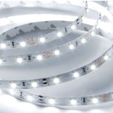 ABI Cool White High Brightness Flexible LED Light Strip with AC Adapter SMD 5050 LED Chips 5 Meters  164 FT Spool 12VDC