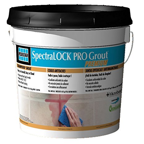 SpectraLOCK Pro Premium Grount AB Full Unit / Requires 9 LB (4.1 kg) Part C Carton