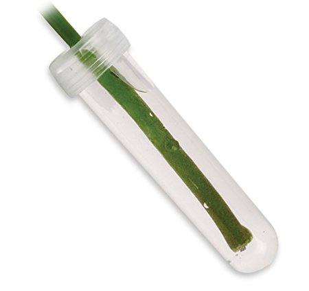 Floral Water Tubes/Vials For Flower Arrangements by Royal Imports, Clear - 3.5" (3/4" Opening) - Standard - 50/Pack - w/ Caps