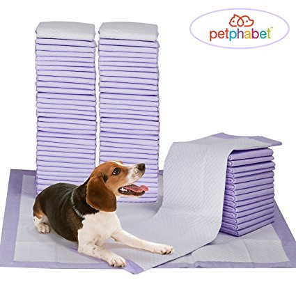 Petphabet Lavender Scented - 23 by 24 Inches Dog Training Pads with Attractant - Available in 20 and 100 Count of Pads