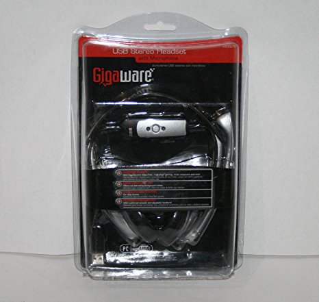 Gigaware USB Headset with Microphone