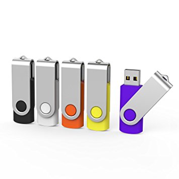 Aiibe 5pcs Usb Flash Drive 4gb pen drive Thumb Drives (5 Colors: Black Red Yellow White Purple)