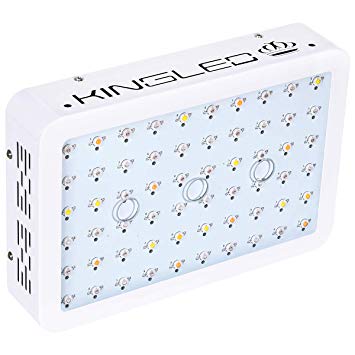 King Plus 600w Double Chips Led Grow Light Full Spectrum with UV and IR for Greenhouse and Indoor Plant Flowering Growing