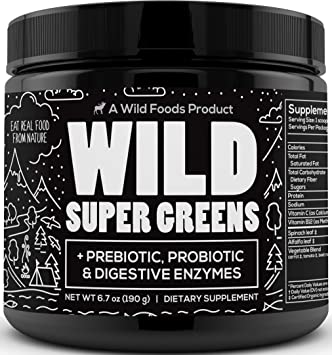 Wild Super Greens - Organic Green Superfood Powder with Digestive Enzymes - 3 Servings of Veggies per Scoop - Mixed with Kale, Spirulina, Chlorella - Vegan & Keto Friendly (30 Servings)
