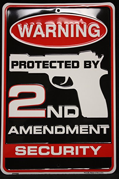 Tag City Novelty SP80063 Warning Protected By 2nd Amendment Security Metal Sign, (8 X 12 Inches)