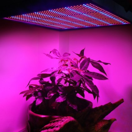 Lvjing High Power 50W Led Plant Grow Light Panel 1365 Led Red  Blue for Hydroponic Plants Flowers Vegetables Greenhouse Hydro Lighting AC 85-265V