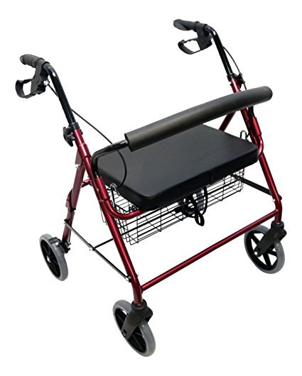 Danny's World Extra-wide Premium Rollator With 8 inch Wheels, Removable Backrest and Shopping Basket