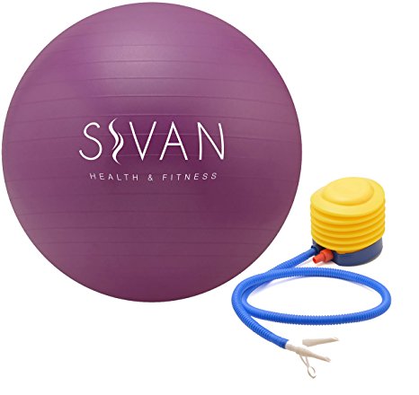 Sivan Health and Fitness Anti-Burst Stability Gym Ball, and Pump