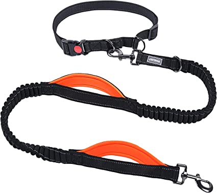 VIVAGLORY Hands Free Dog Leash with Dual Advanced Anti-Shock Bungees and Padded Handles, Reflective Waist Running Leash with Adjustable Belt for Training Jogging for Medium Large Dogs, Black/Orange