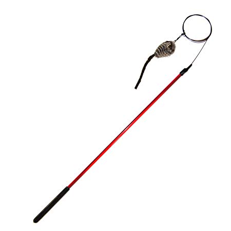 Wildcat Teaser Wand - Works with attachments Made for Wildcat and Popular Bird and Catcher Mouse Type Wands/Poles
