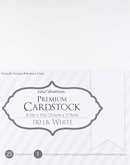 CORE'DINATIONS GX-2200-53 8.5 x 11 Card Stock Value Pack White 110 lb Smooth