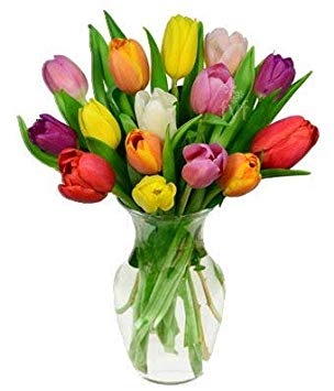 Flowers - Rainbow Tulip Bouquet - 15 Stems (Free Vase Included)