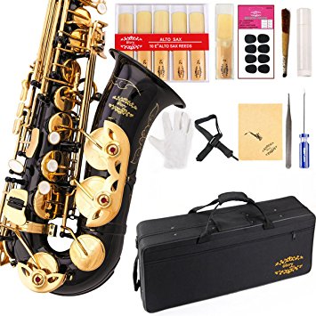 Glory High Grade Engraved Flowers Black /Gold Keys E Flat Alto Saxophone with 11reeds,8 Pads cushions,case,carekit-More Colors with Silver or Gold keys