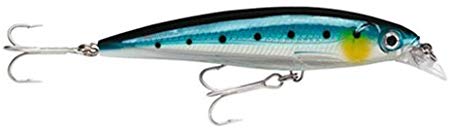 Rapala X-Rap Saltwater  Fishing Lure