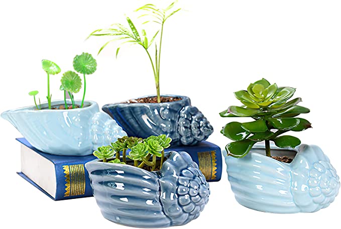 Foraineam Succulent Plant Pots, 5.5-6.5 Inch Ceramic Flower Planter Pots, Blue Conch Ocean Seashell Series, Set of 4 Succulent Cactus Plant Container with Drainage Hole