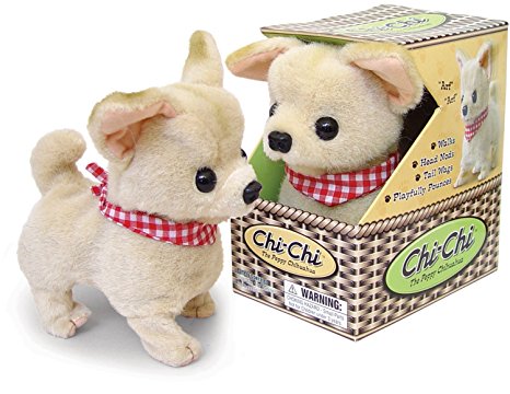 Chi-Chi Chihuahua