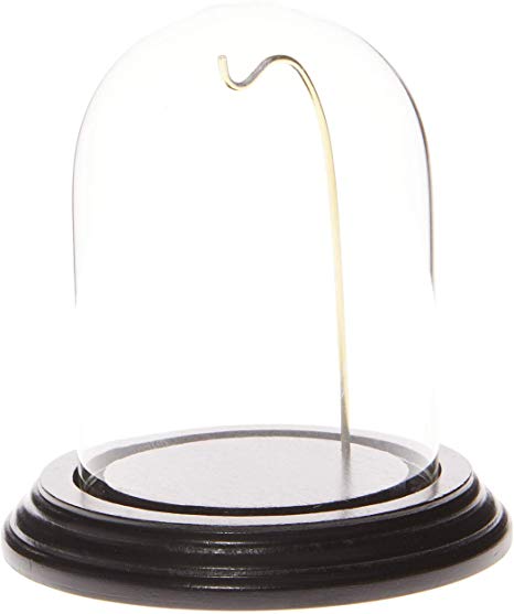 Plymor Brand 3" x 4" Watch/Ornament Glass Display Dome Cloche (Black Wood Veneer Base & Gold Wire)