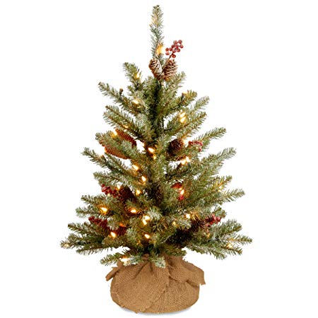 National Tree 2 Foot Dunhill Fir Tree with Cones, Red Berries, Snow and 15 Warm White Battery Operated LED Lights with Timer (DUF-300-20-B1)