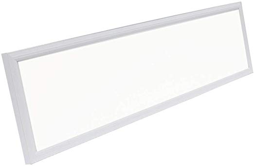 G2 LED Panel Recessed in Ceiling Tile Light or Ceiling or Thin Flush Mount Lighting in Laundry Garage Workshop Office | DLC Certified Bright Downlight (12" x 48")
