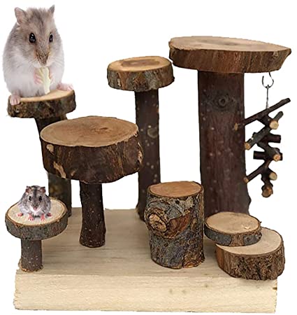 kathson Hamster Climbing Activity Platform Wooden Gerbil Playground Natural Apple Chew Toys for Small Rodents Sugar Glider Chinchilla Guinea-Pigs