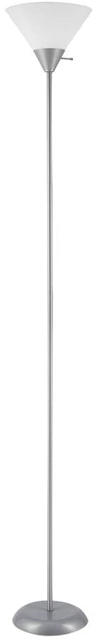 Globe Electric 67150 Elliott Floor Lamp, 72", Silver