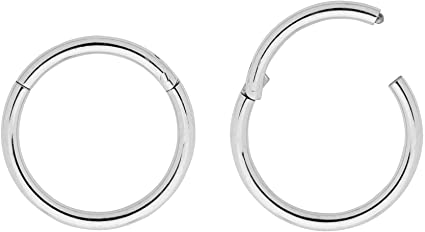 365 Sleepers 2 Pcs Stainless Steel 18G (Thin) Hinged Hoop Segment Nose Ring Sleeper Earrings 5mm - 6mm - 7mm - 8mm - 9mm - 10mm - 11mm - 12mm - 13mm