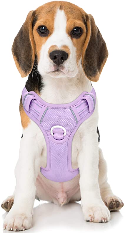 BARKBAY No Pull Dog Harness Front Clip Heavy Duty Reflective Easy Control Handle for Large Dog Walking with ID tag Pocket(Violet Purple,M)