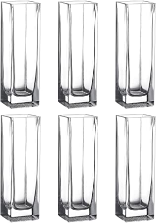 Whole Housewares Mini Clear Glass Tall Square Block Vase Set of 6 (1.5X5inch)