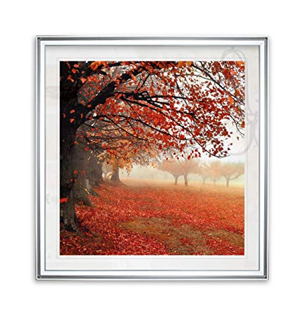 Renditions Gallery PF026-14074-1616SF Scenic Artwork All for Show Red Maple Trees Art Framed Wall Decor Photography Canvas Prints Landscape Pictures, 16 x 16, Silver