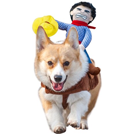 Pet Costume Dog Costume Pet Suit Cowboy Rider Style Dog Carrying Costume by DELIFUR