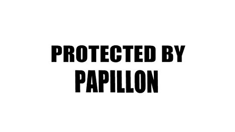PROTECTED BY PAPILLON Decal Car Laptop Wall Sticker