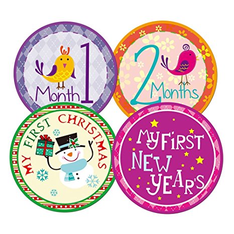 Blulu Baby Monthly Holiday Stickers Newborn Gift, 26 Pieces