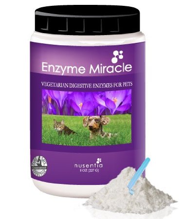 Enzymes for Dogs - Enzyme Miracle - Digestive Enzymes for Dogs Powder - 364 Servings
