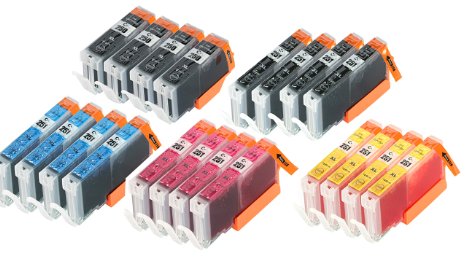 YoYoInk Compatible Ink Cartridges Replacement for Canon PGI 250 XL PGI250 PGI-250 XL and CLI 251 XL CLI251 CLI-251 XL 20 Pack 4 Big B 4 Small B 4 C 4 M 4 Y - With Ink Level Display Indicator