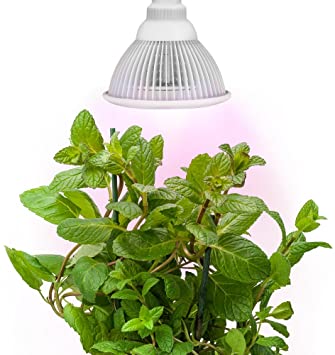 Sandalwood LED Plant Grow Light for Hydroponic Garden and Greenhouse, 12W, E27 Socket, 3 Bands