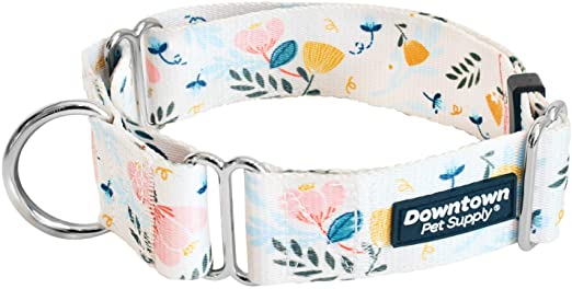 Downtown Pet Supply Big and Wide Durable Martingale Training Collars for Dogs and Puppy in Small, Medium, Large, and Extra Large Dog Collar (Floral, X-Large)