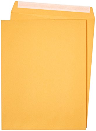 AmazonBasics Catalog Envelopes, Peel & Seal, 10 x 13 Inch, Brown Kraft, 100-Pack