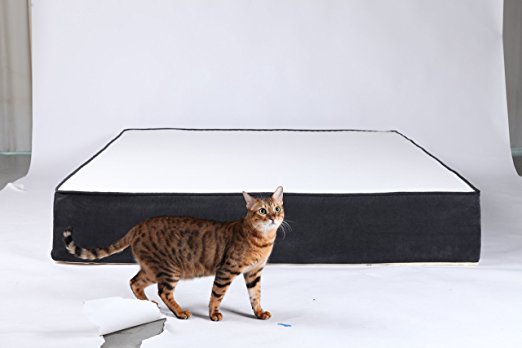 Quatro Sleep Mattress (Quatro King)