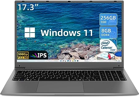 SGIN 17 Inch Laptop, Windows 11 Laptops Computer with 8GB RAM 256GB SSD, IPS Full HD Display, Intel Celeron Quad-core Processor, Mini HDMI, Webcam, Wi-Fi, Bluetooth, Expandable Storage 512GB TF