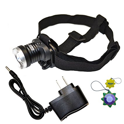 HQRP Powerful Rechargeable UV LED Headlamp Flashlight 390-395nm for Scorpions Hunting, Pet & Pest Stains, Hunting / Animal Blood Tracking   HQRP UV Meter