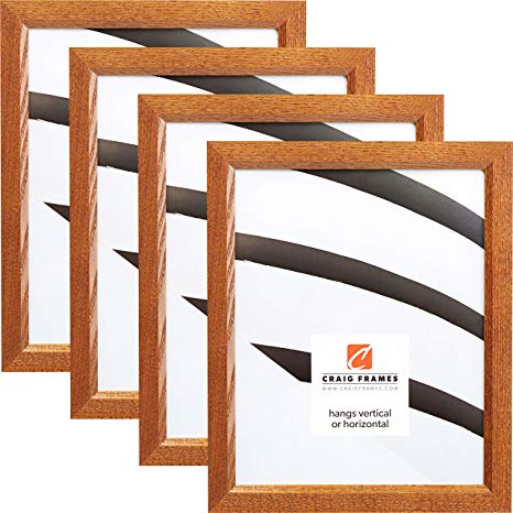 Craig Frames 8261610 16 x 24 Inch Picture Frame, Honey Brown, Set of 4