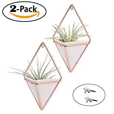 Trigg Hanging Planter Vase & Geometric Wall Planter/Pot Hanging Decor Container - Great for Succulent Plants, Air Plant, Mini Cactus, Faux Plants and More, White and Rose Gold (Set of 2)