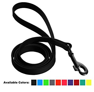 Dogline Biothane Waterproof Dog Leash Strong Coated Nylon Webbing with Black Hardware Odor-Proof for Easy Care Easy to Clean High Performance for Small or Large Dogs Made in USA 4 or 6 ft Lead