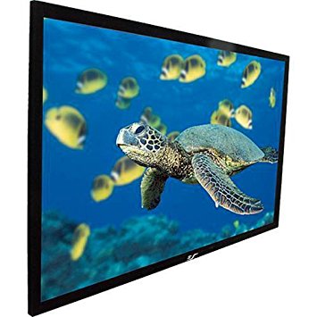 Elite Screens ezFrame Series, 110-inch 16:9, Rear Projection Fixed Frame Home Theater Projection Screen, Model: R110RH1