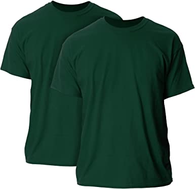 Gildan Men's G2000 Ultra Cotton Adult T-Shirt, 2-Pack